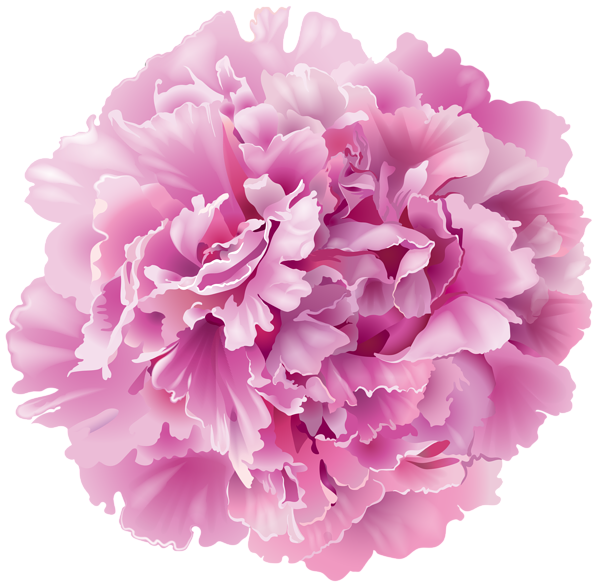 floral clipart peony