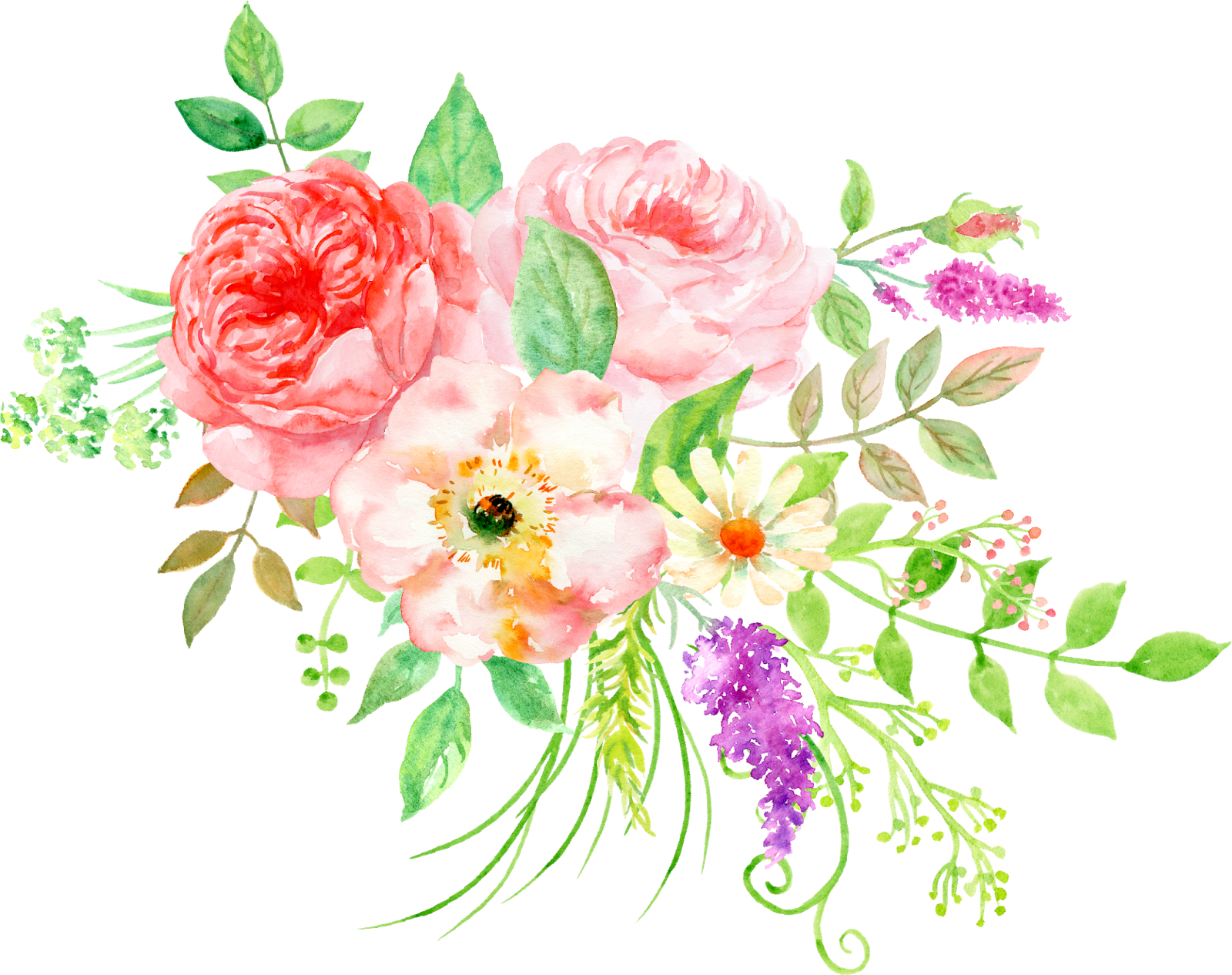 peony clipart flower bunch