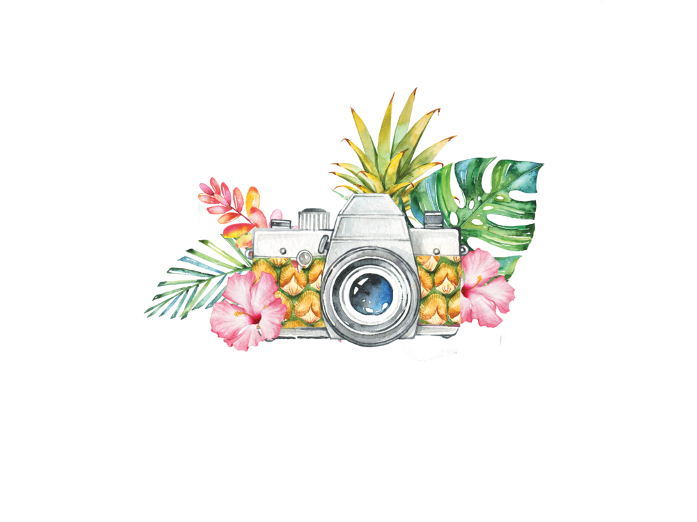 About photography by jillian. Floral clipart pineapple