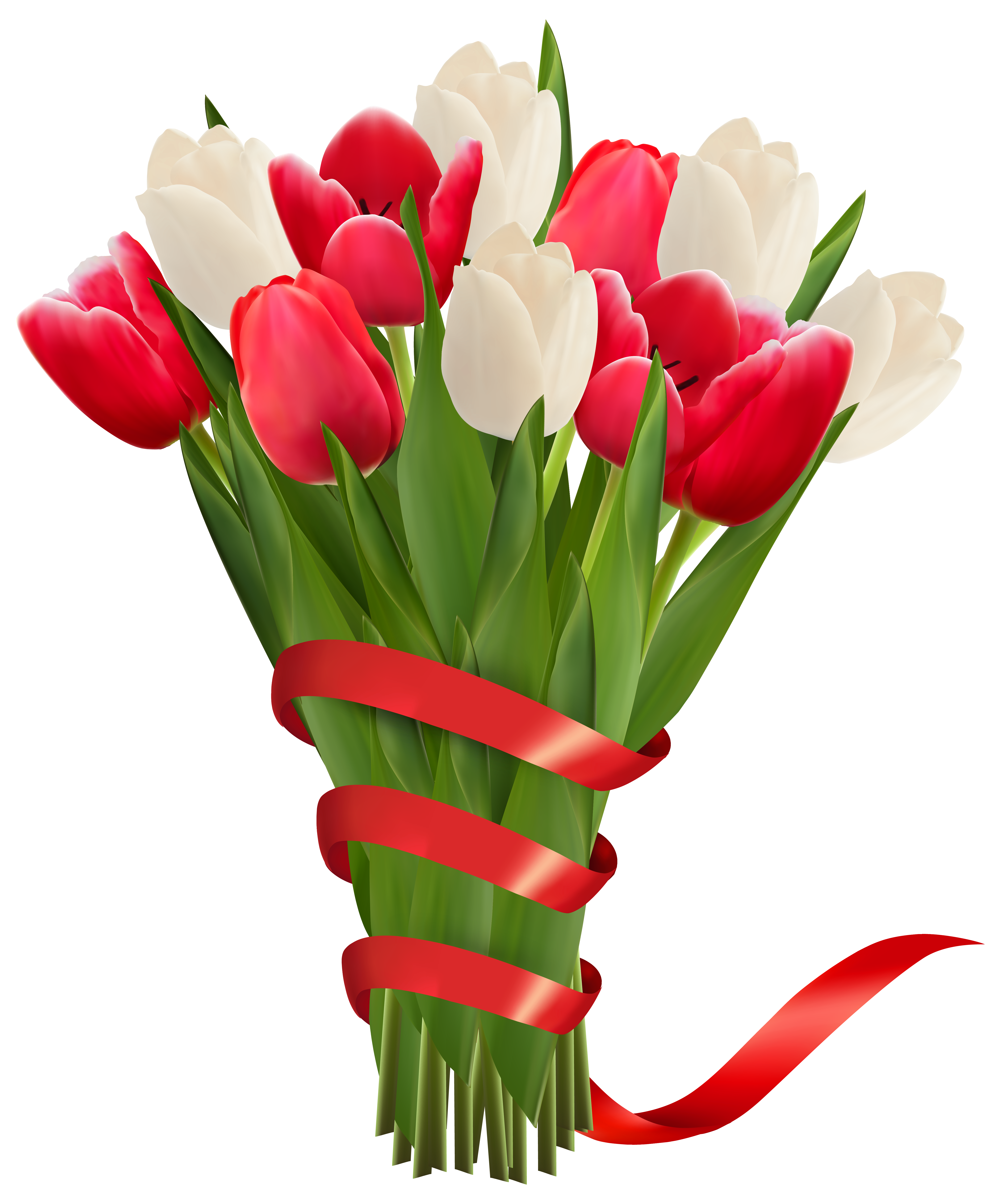 Bouquet red clip art. Flower clipart tulip