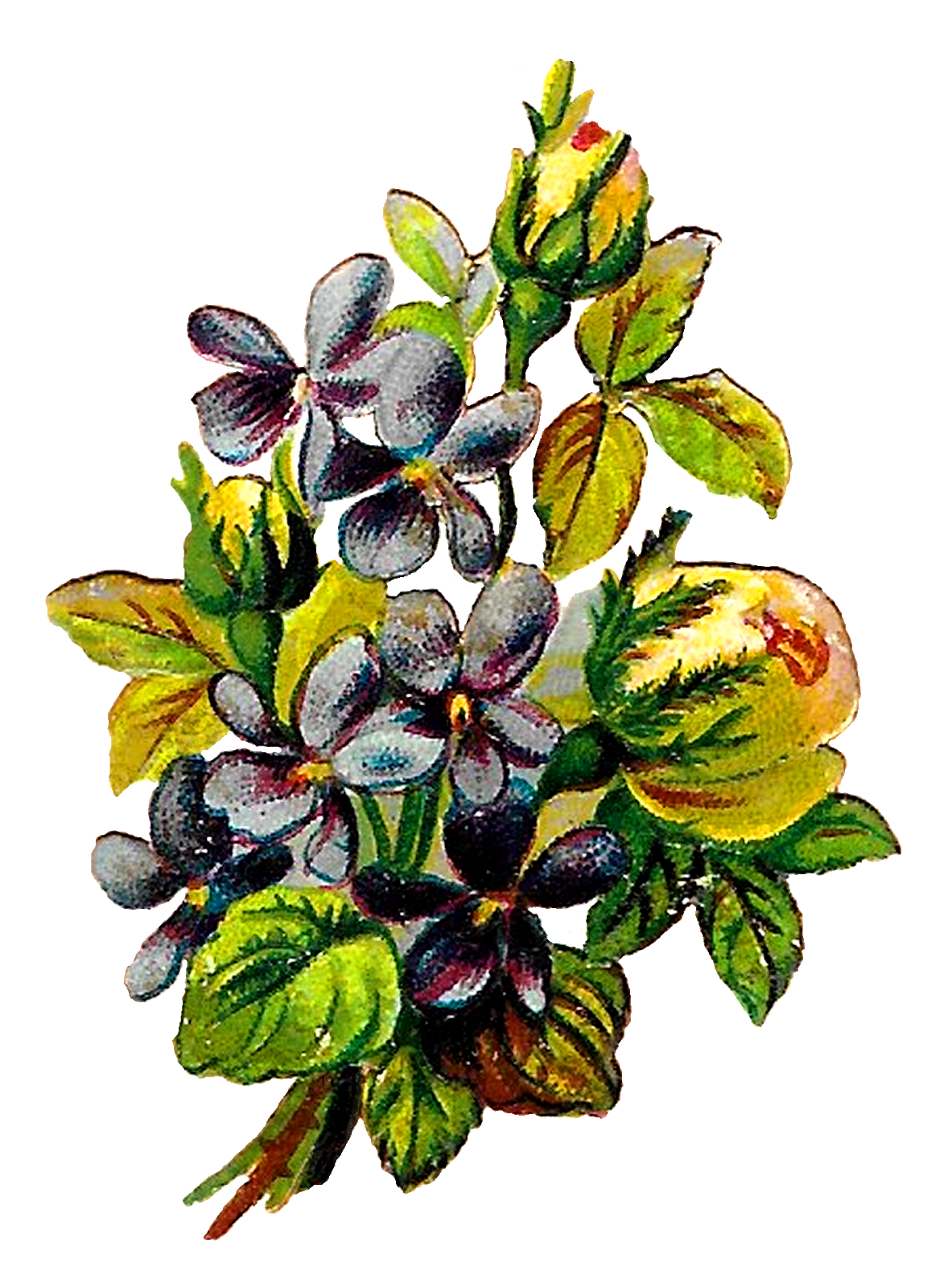 floral clipart rustic flower