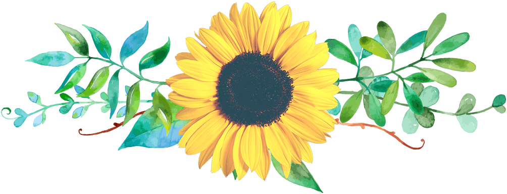 Floral clipart sunflower, Floral sunflower Transparent ...