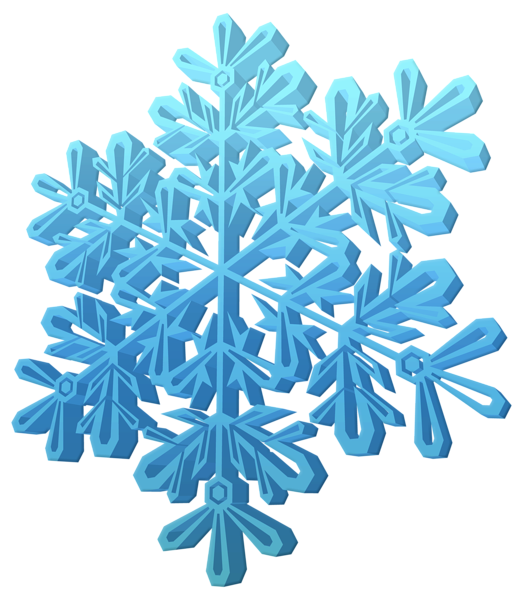 floral clipart winter