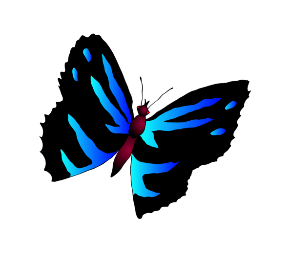 Florida clipart animation. Butterfly animated gif transparent