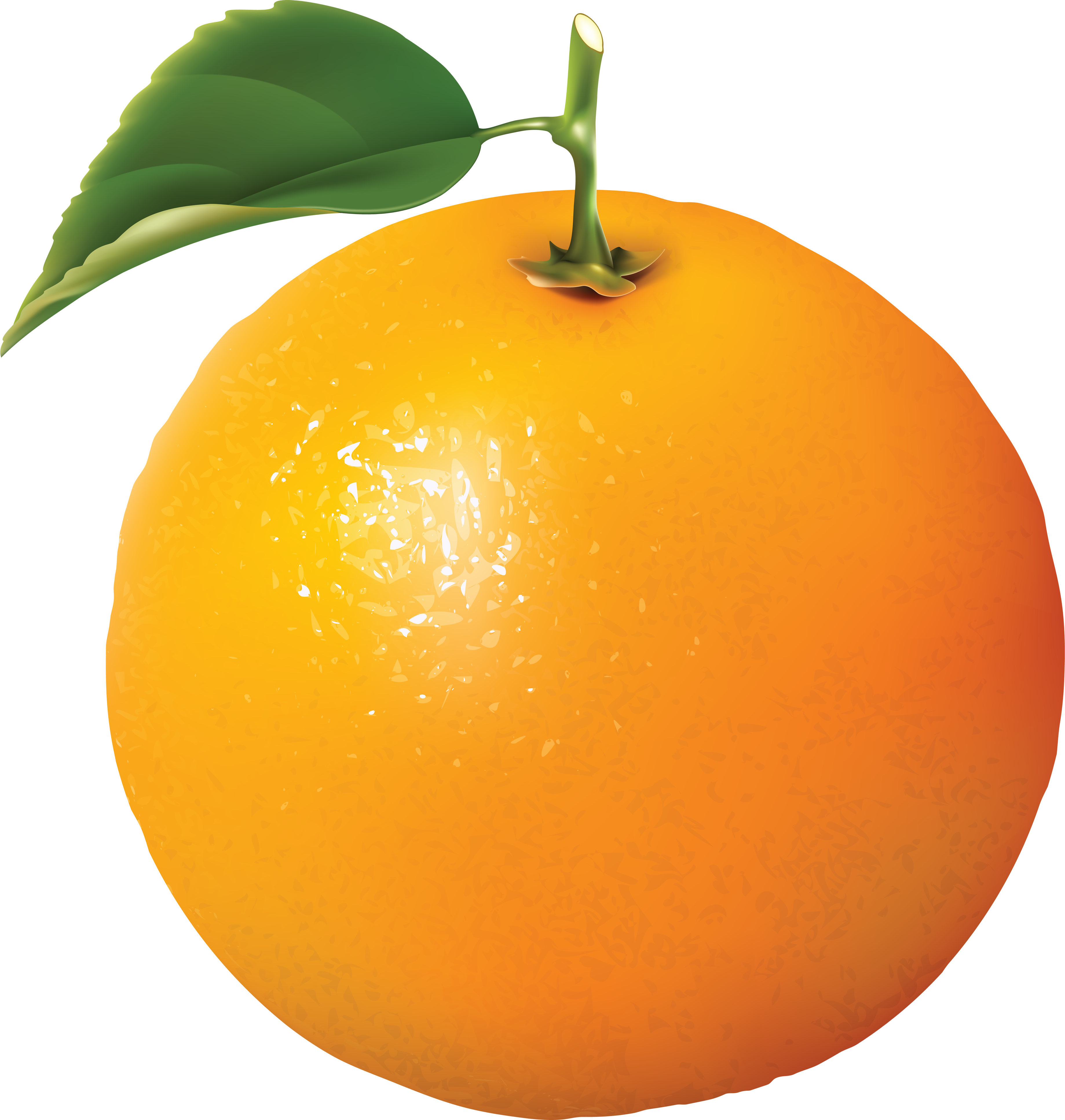 may clipart orange