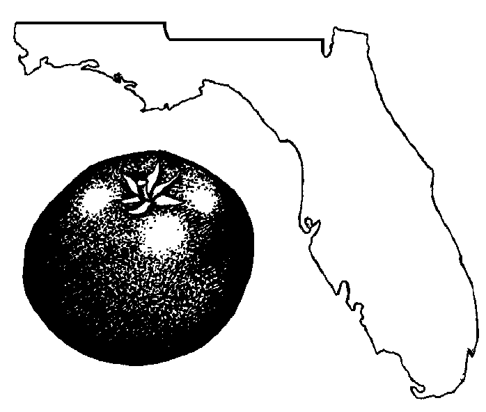 florida clipart page