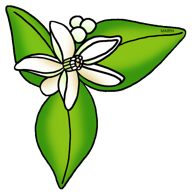 Florida clipart state. United states clip art