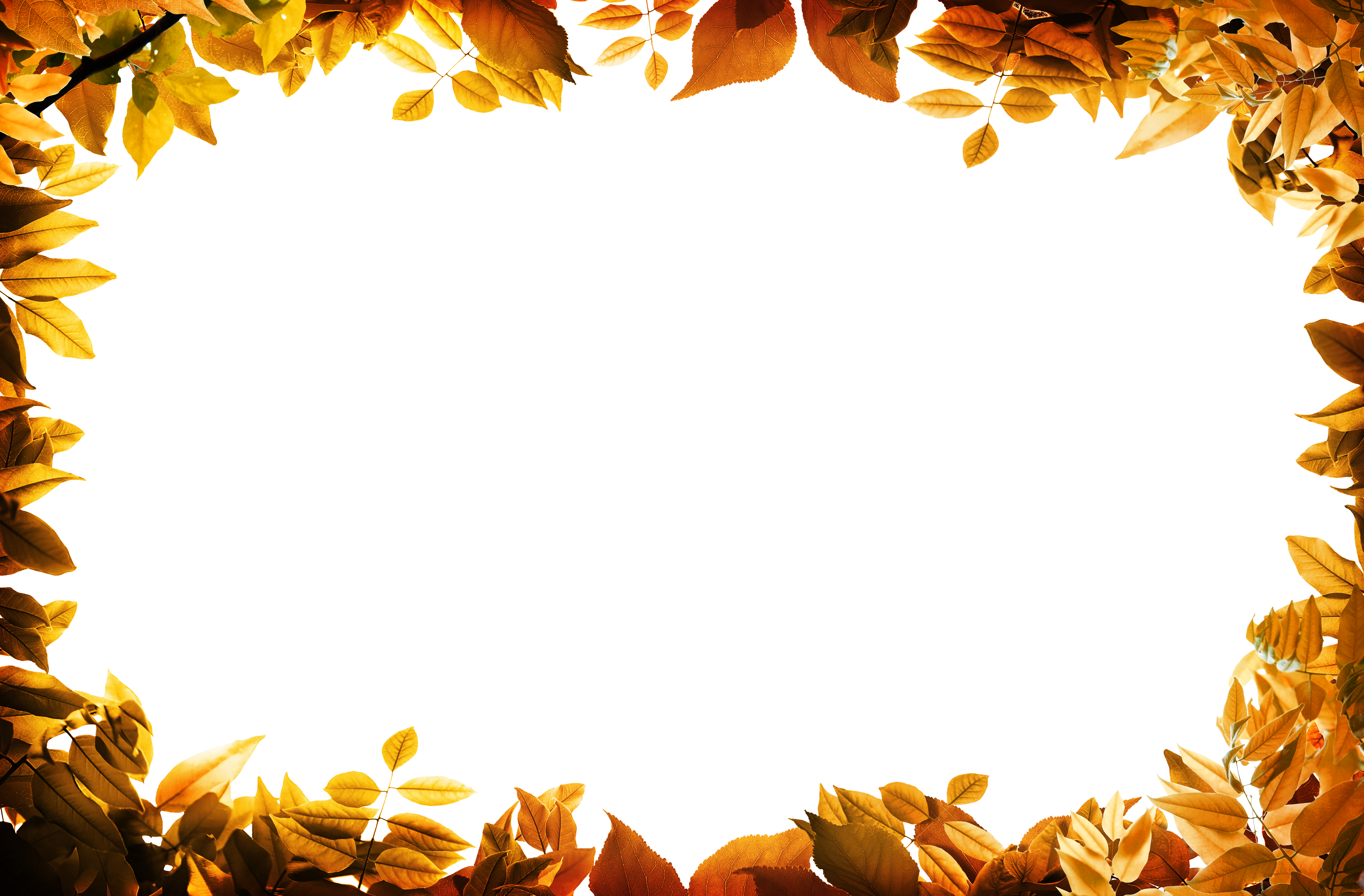 Borders With Leaves - Leaves border png, Leaves border png Transparent