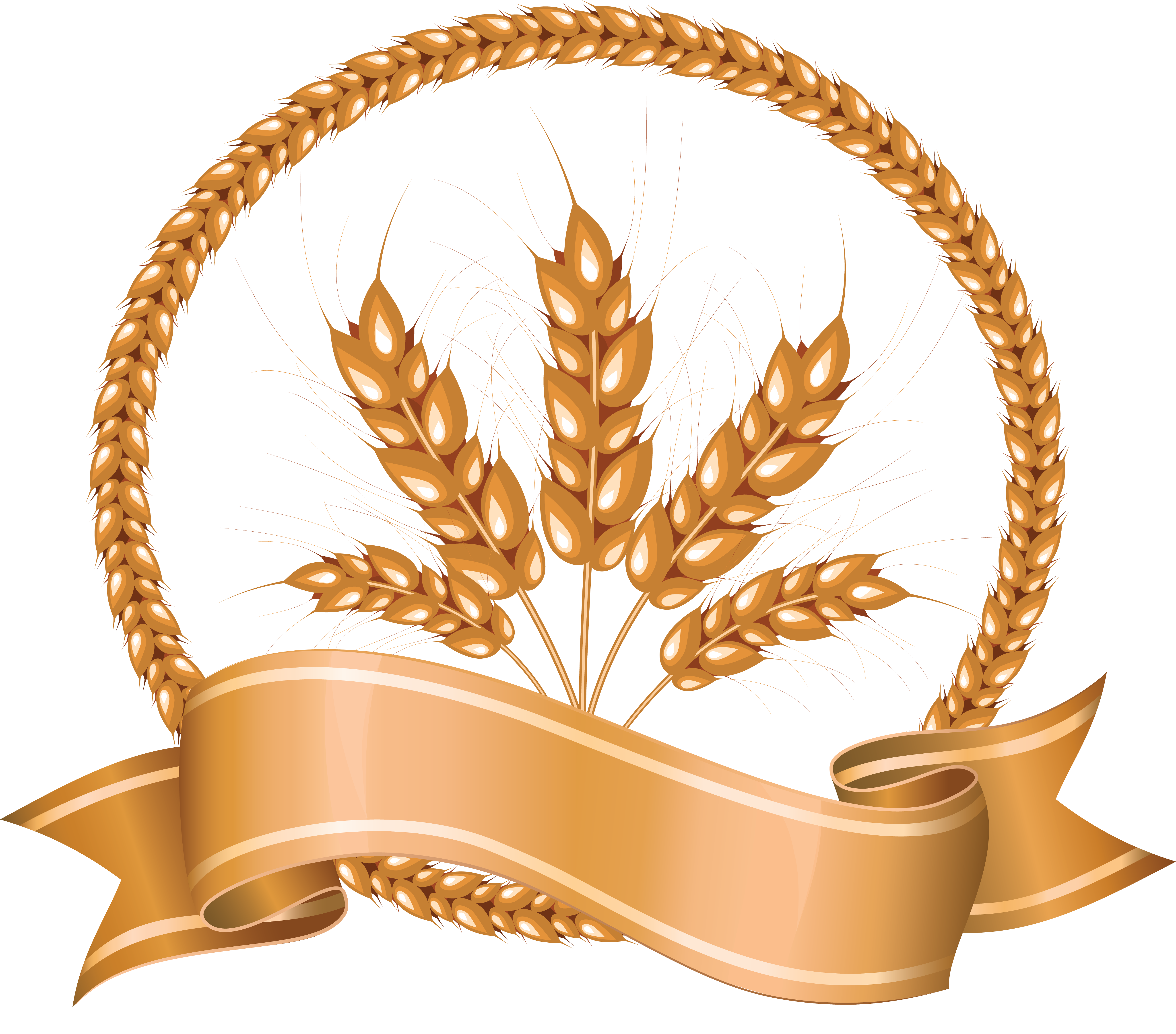 Grains clipart protein. Wheat png images free
