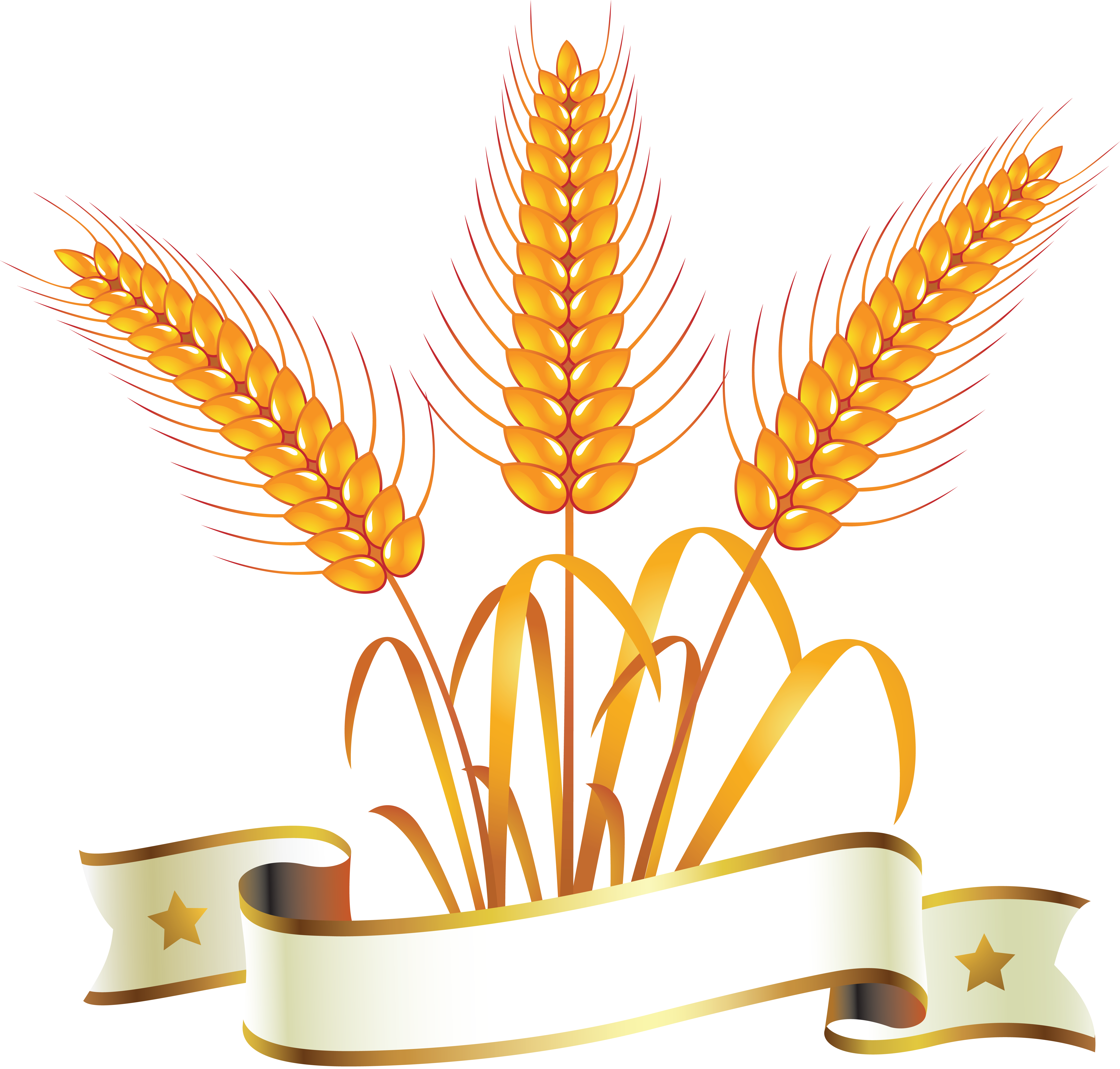 Grains clipart wheat stem. Png image purepng free