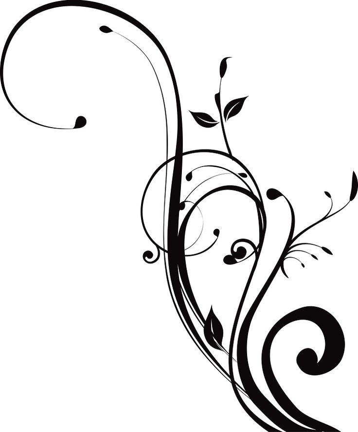 Swirl designs google search. Flourishes clipart swirls and twirls