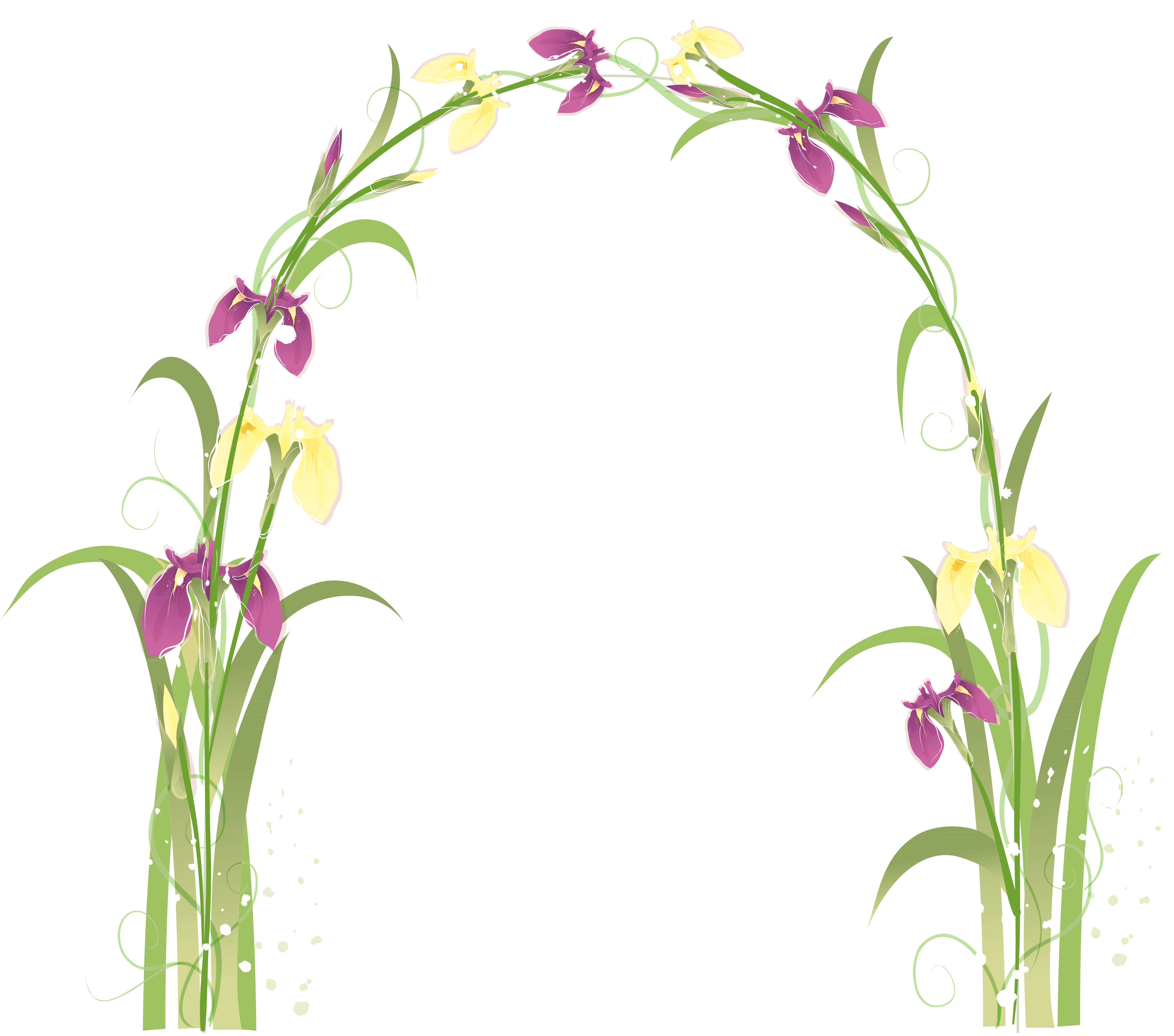 Flower arch png. Transparent floral picture gallery