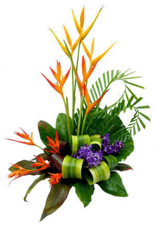 Flower arrangement png. Gardener port moresby papua