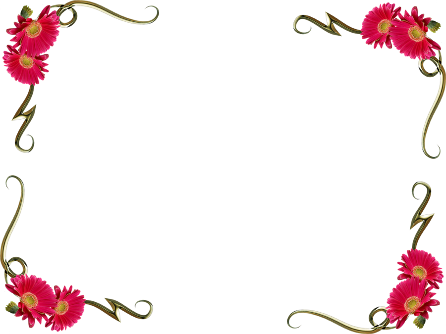 Pink flowers without by. Flower background png