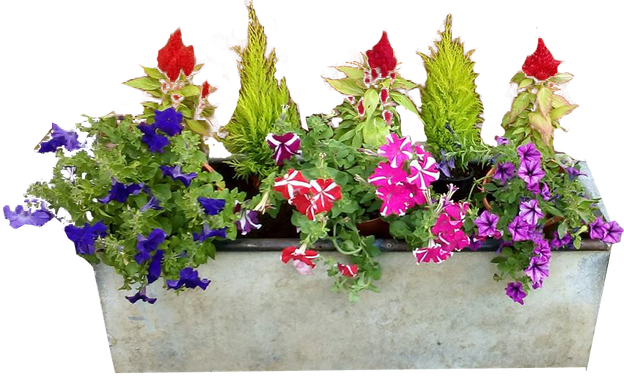 Flower box png.  for free download