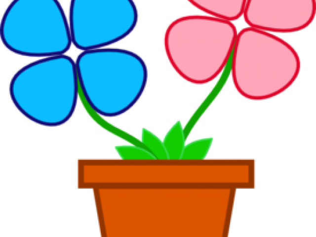 Flower vases with free. Flowers clipart base