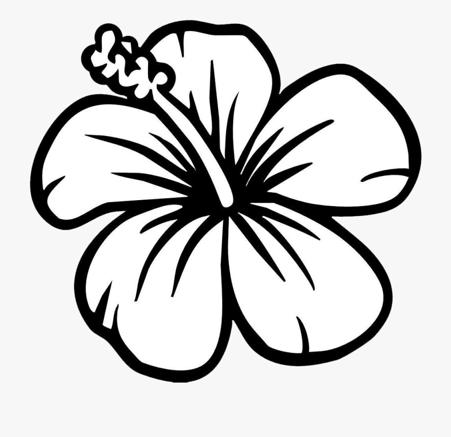 hawaii clipart black and white