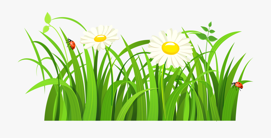 Grass clipart tulip. Withlorful tulips bugs and