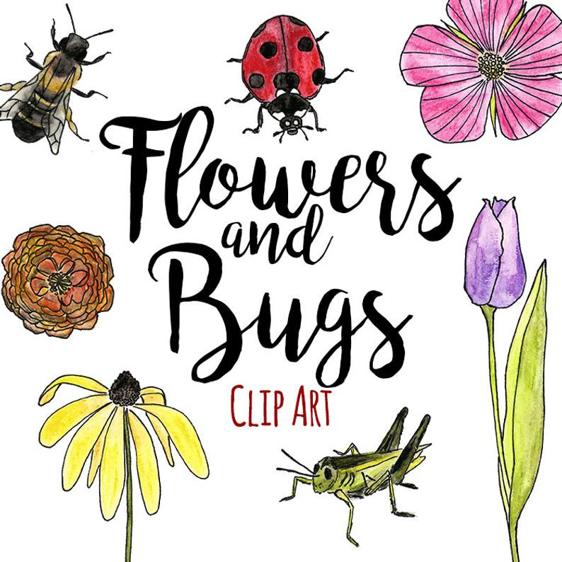 flower clipart insect