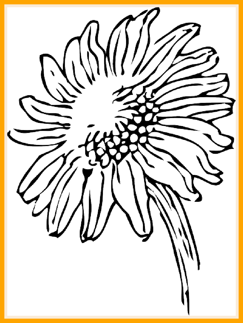 Flower Clipart Larkspur Flower Larkspur Transparent Free For Download On Webstockreview 2020