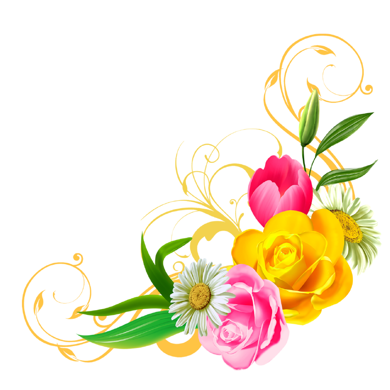 flower png clipart