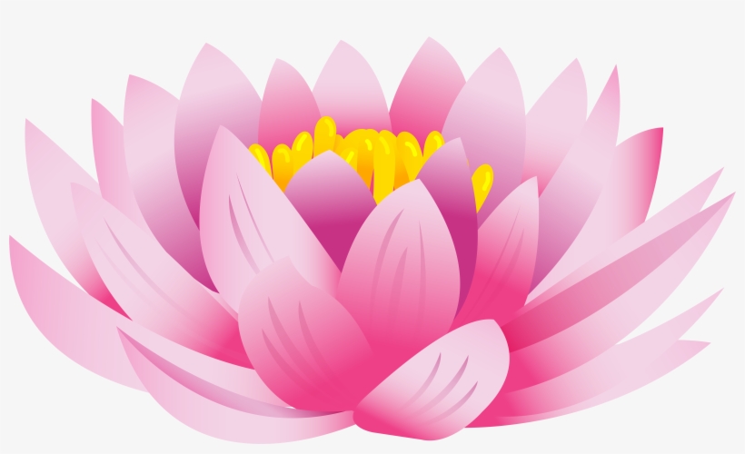 flower clipart nelum