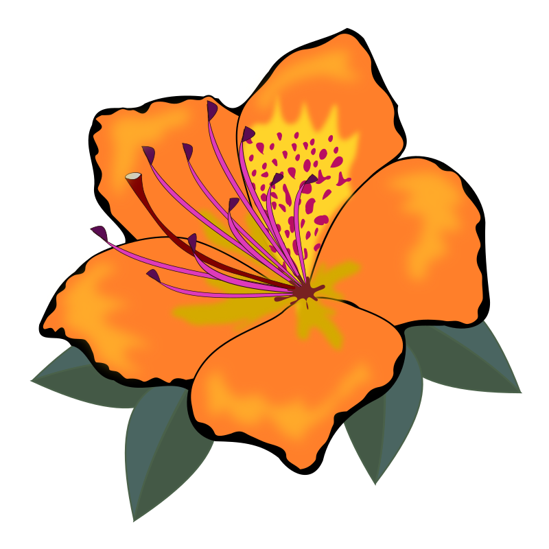 flower clipart orange