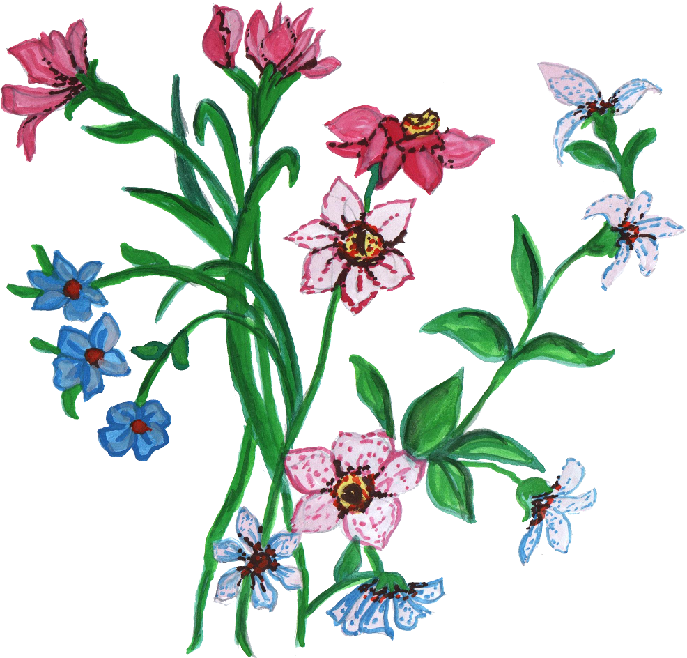 Flower clipart ornament.  paint png transparent