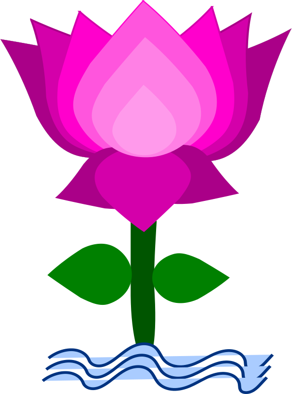 flower clipart pink lotus