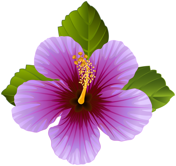 hawaiian clipart purple hawaiian flower
