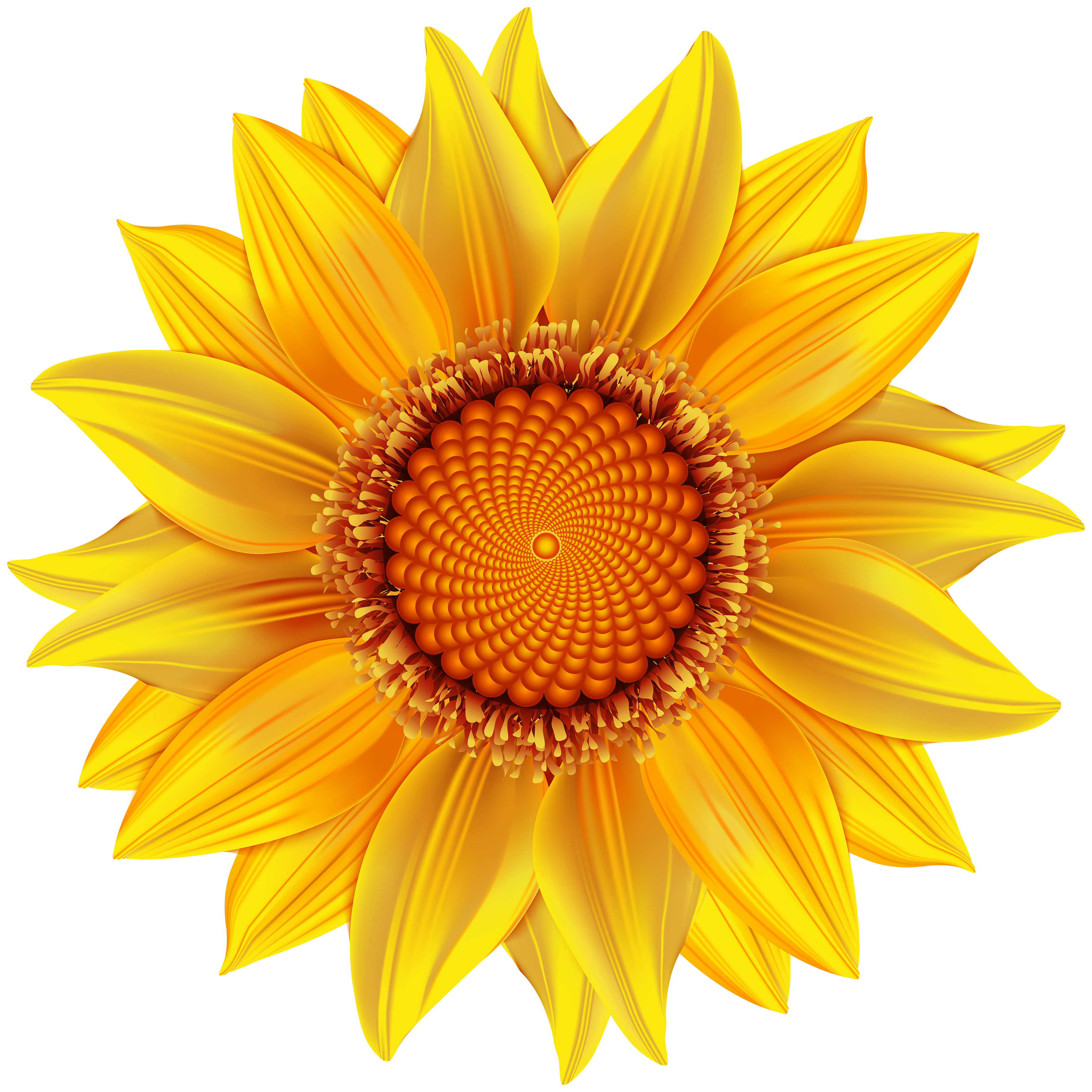 flowers clipart yellow
