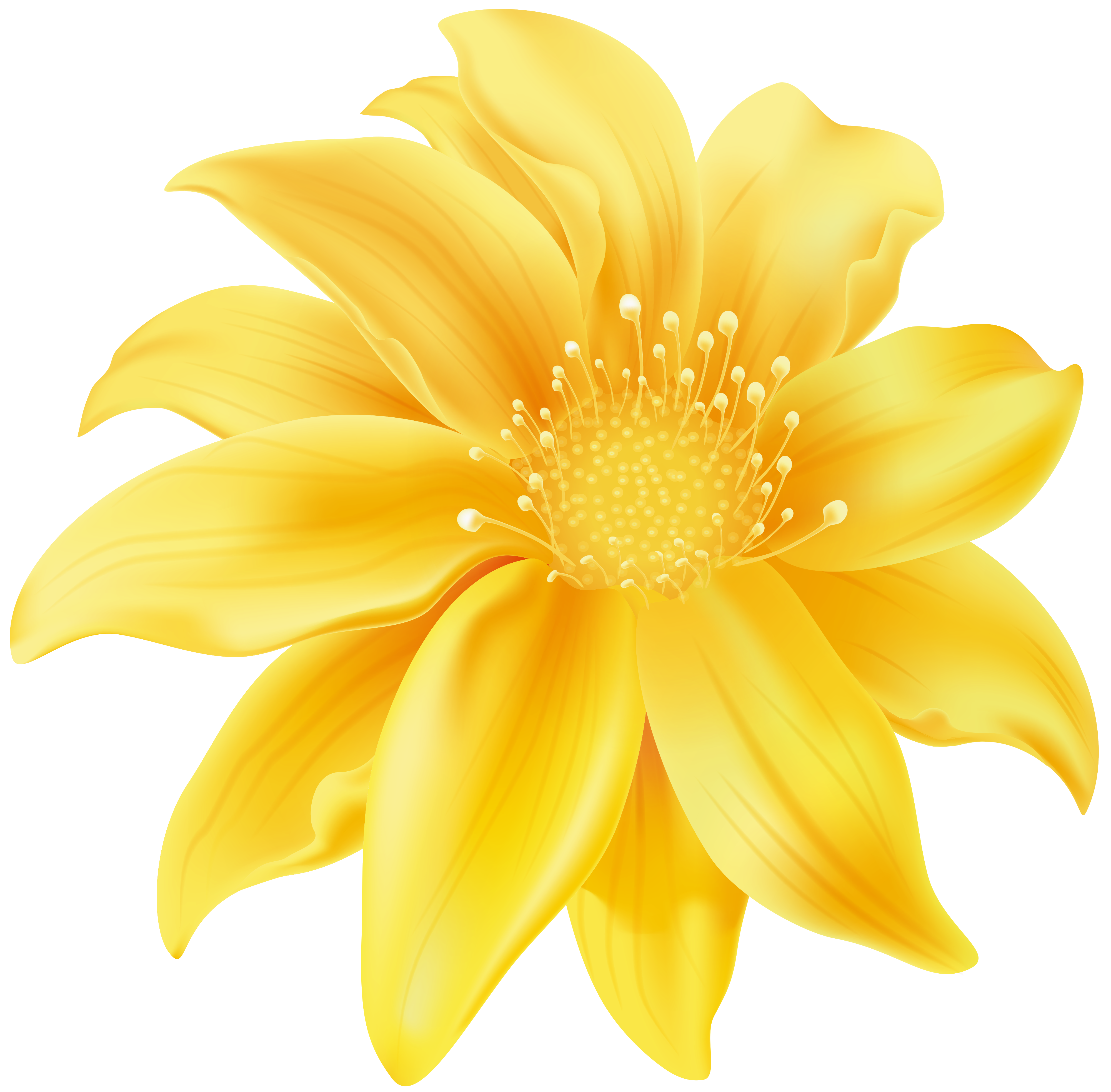 flower clipart yellow