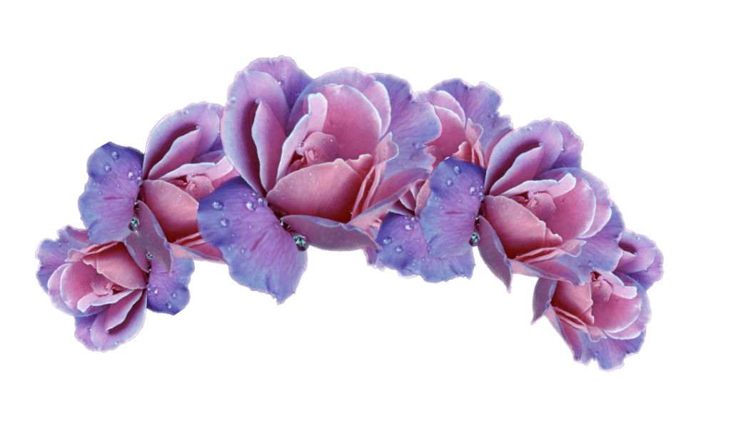 Picture peoplepng com. Flower crown png