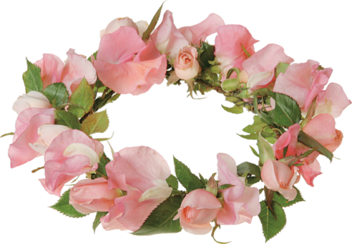 Wow references image . Flower crown png transparent