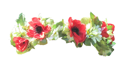 Flower crown png tumblr. Transparent on we heart