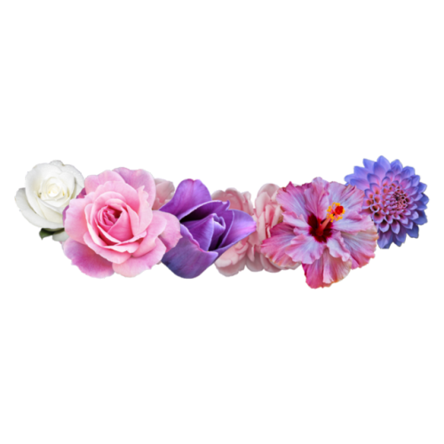 Thelesspngwanted. Flower crown png tumblr
