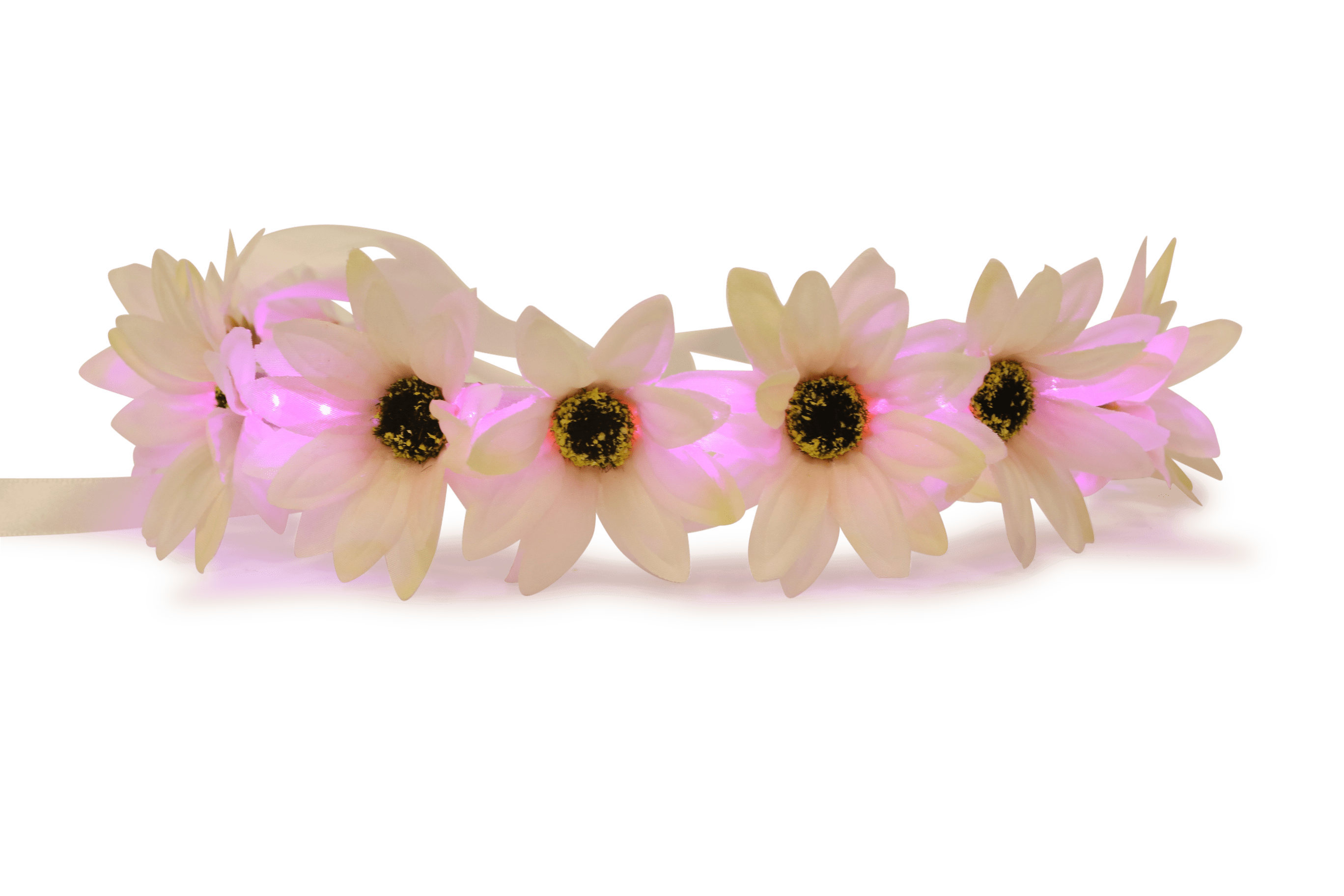 Flower crowns png, Flower crowns png Transparent FREE for ...