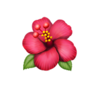 Flower emoji png.  for free download