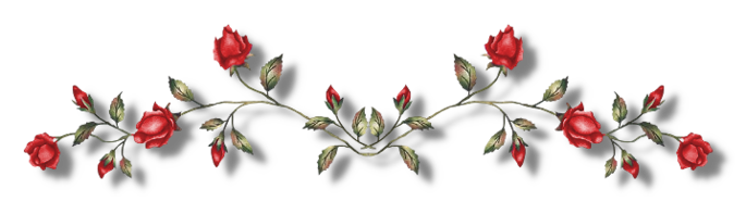 Flower line png.  of flowers for