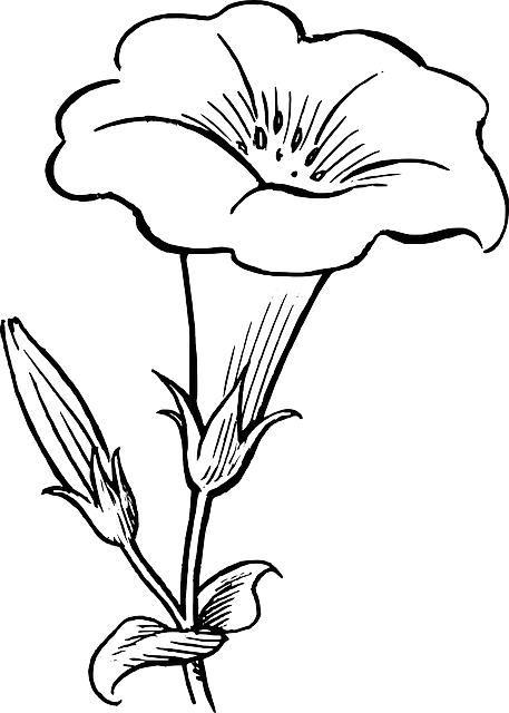 Black drawing white flowers. Flower outline png