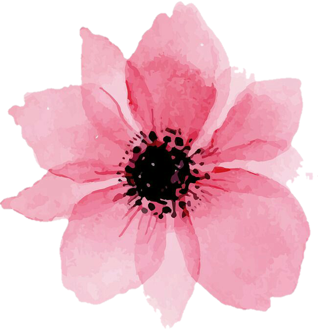 Floral flor sticker by. Flower overlay png