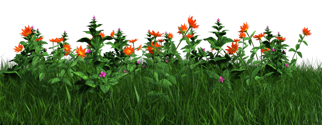 flower plants png