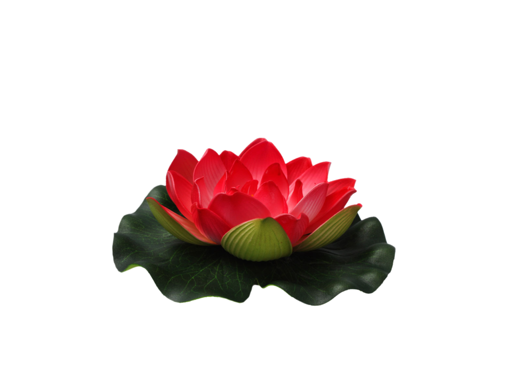 Flower png deviantart. By moonglowlilly on 
