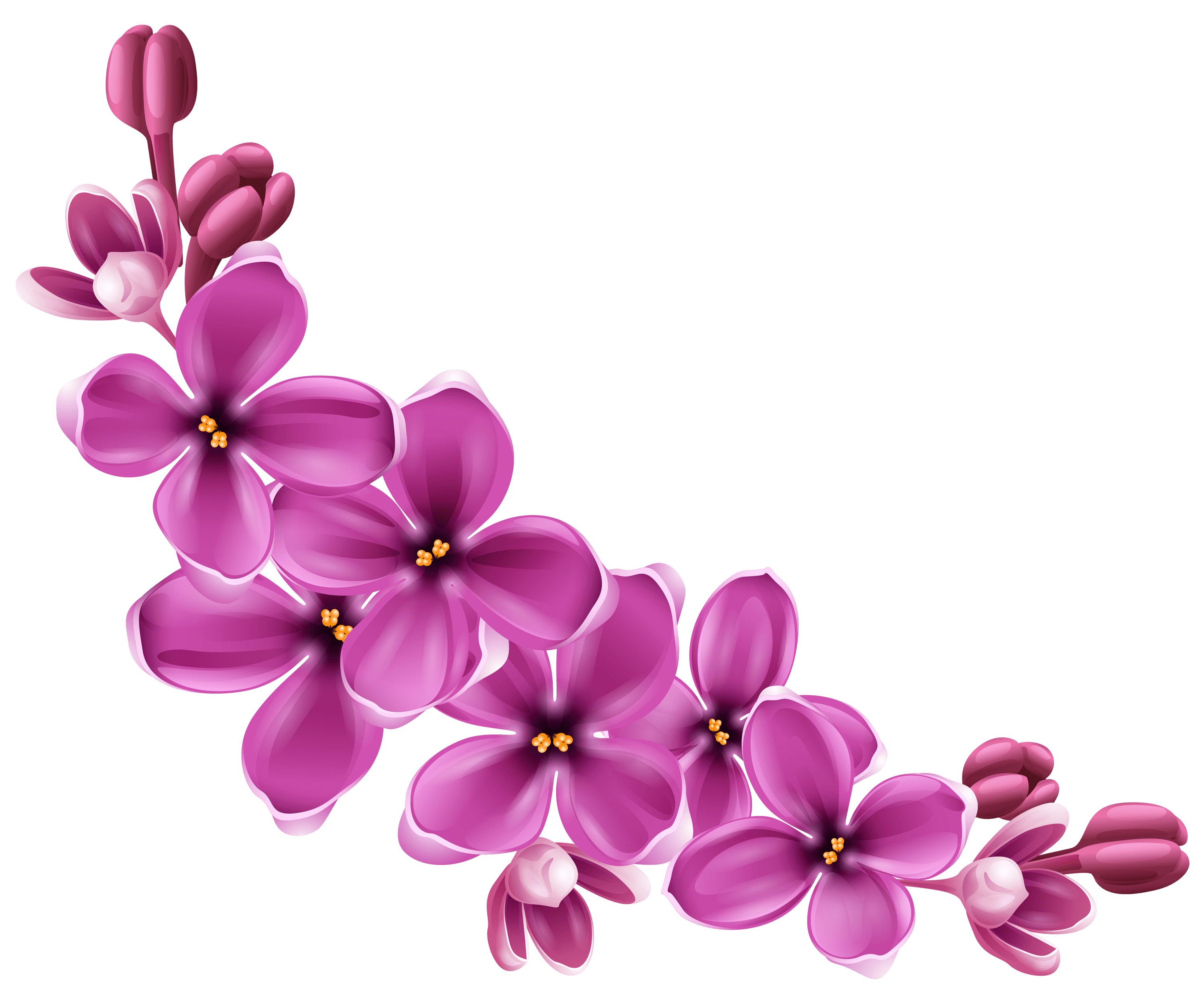 Flower png transparent. Flowers purple curve stickpng