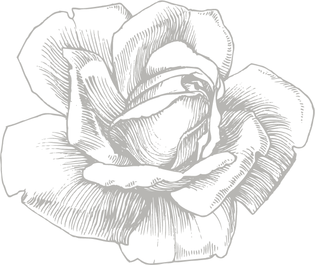 Eufloria flowers view all. Flower sketch png