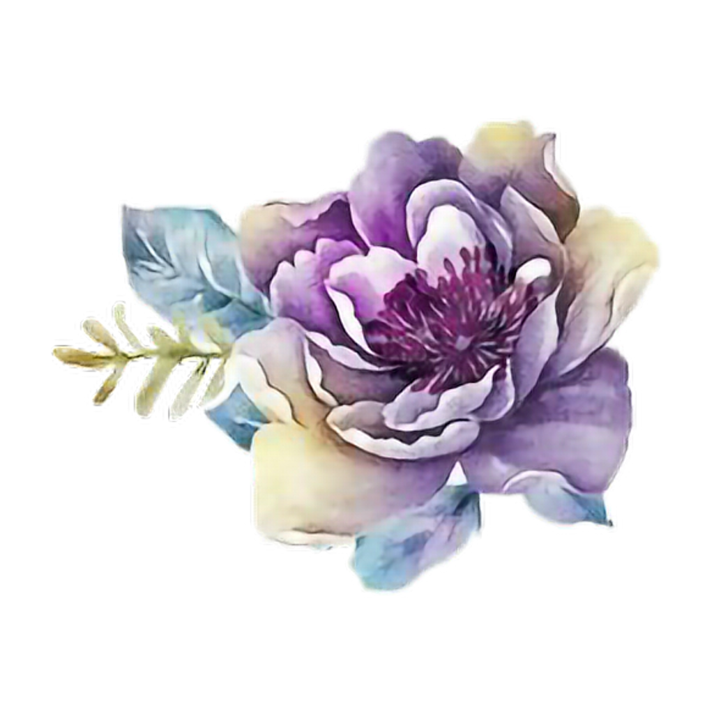 Flower watercolor png.  for free download