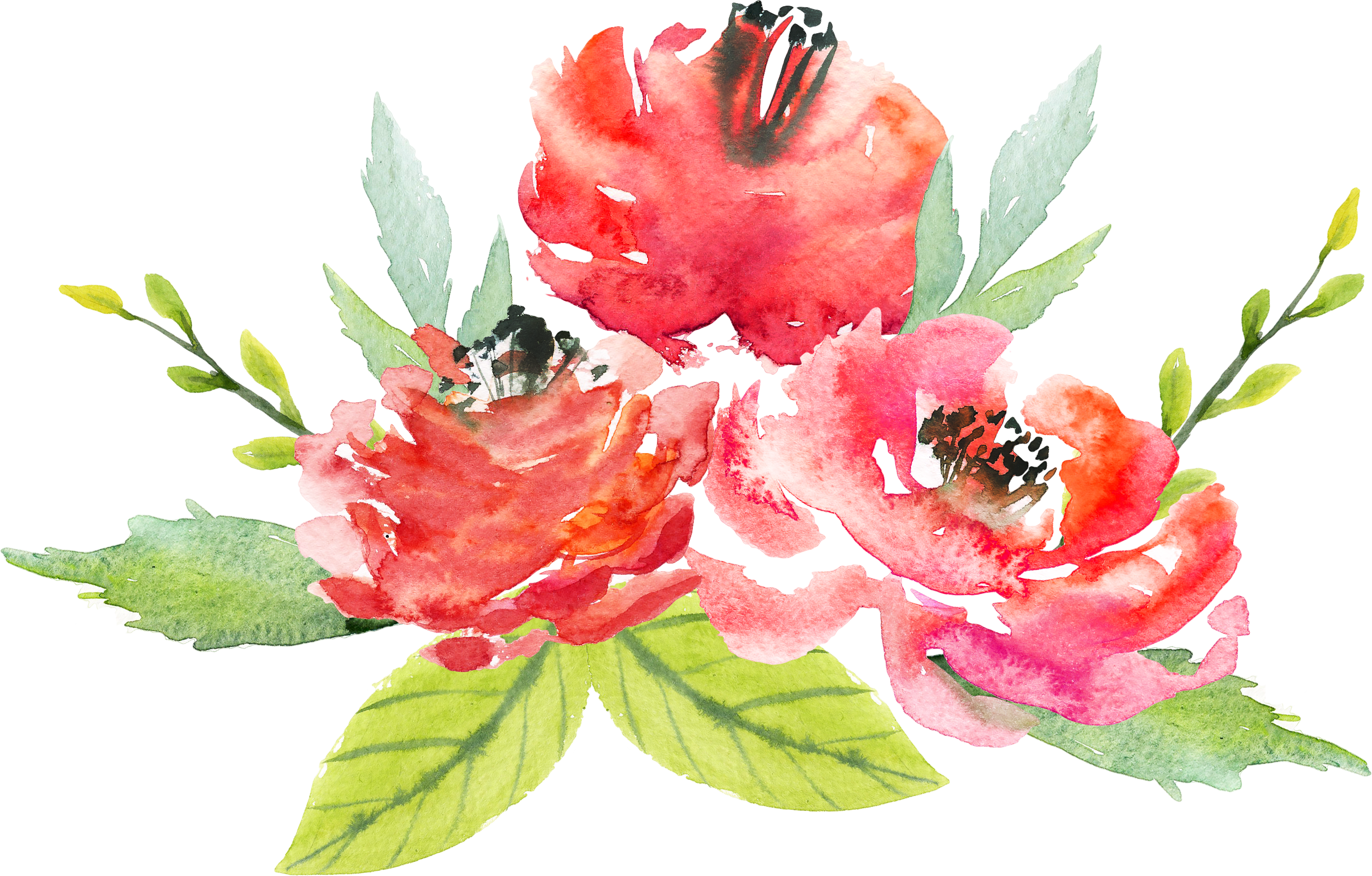 Flower watercolor png, Flower watercolor png Transparent FREE for