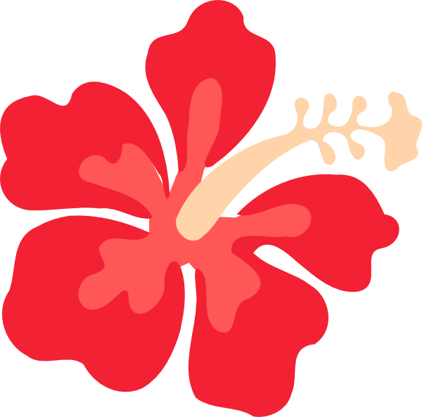 Flower at getdrawings com. Hibiscus clipart real