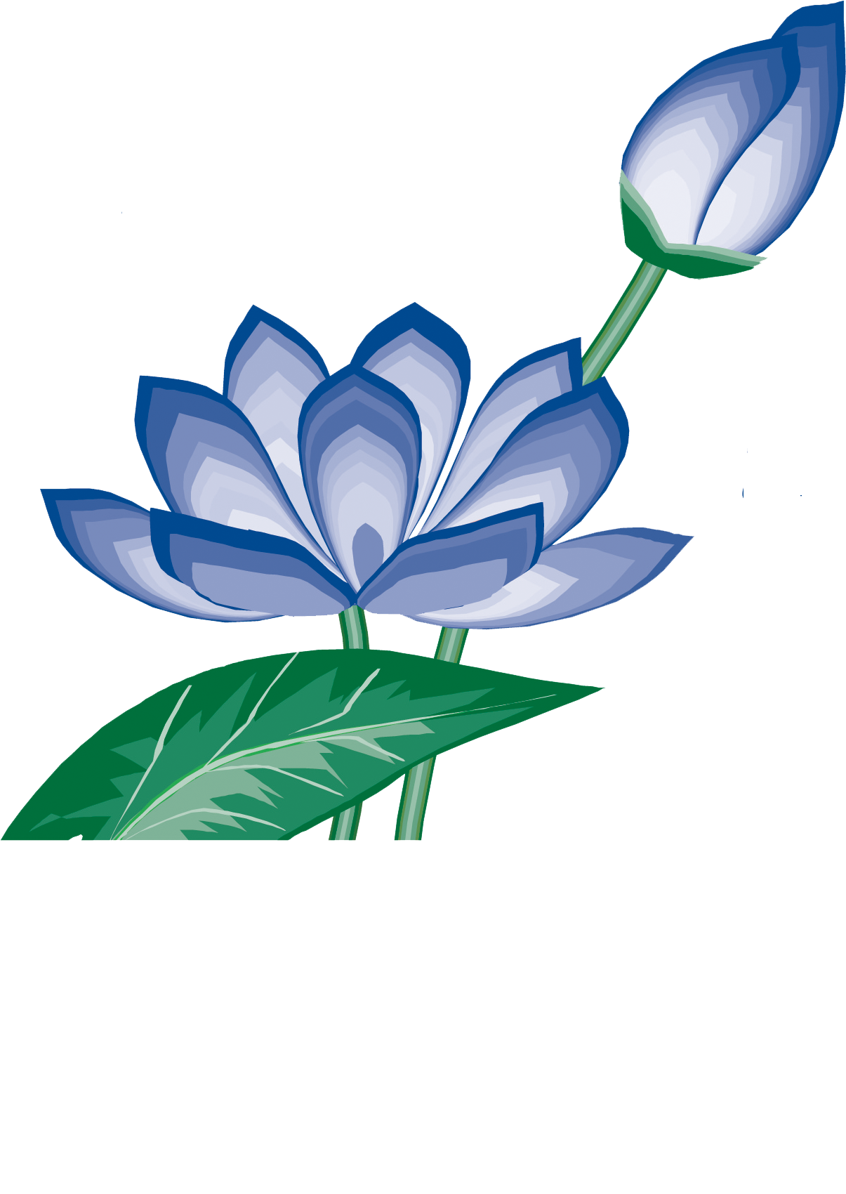 lotus clipart beauty spa