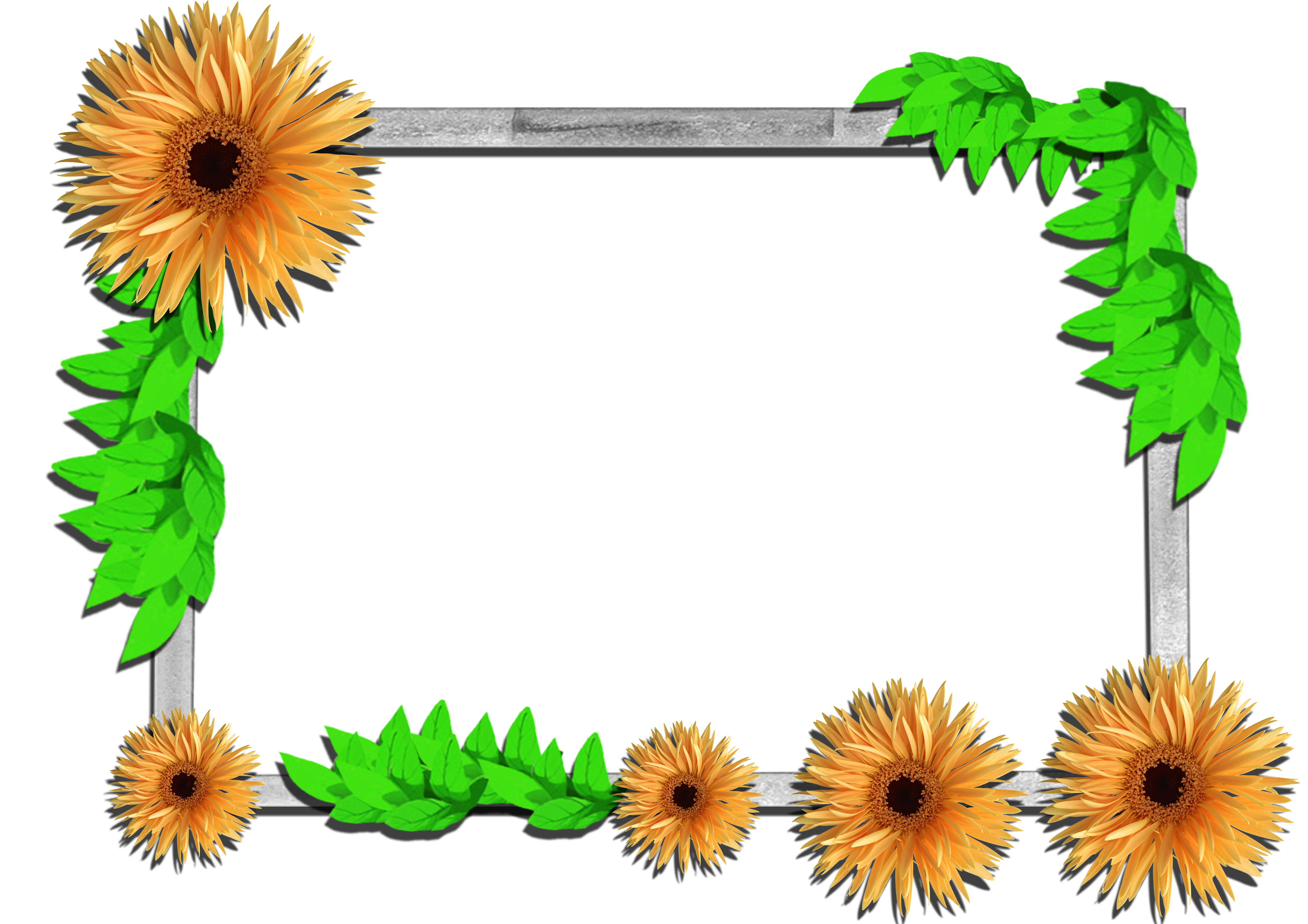 Gallery yopriceville high quality. Flowers clipart frame